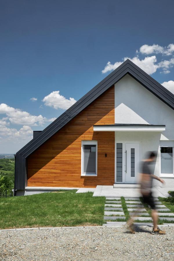 Riverside Pool Villa-Sremski Karlovci Exteriör bild